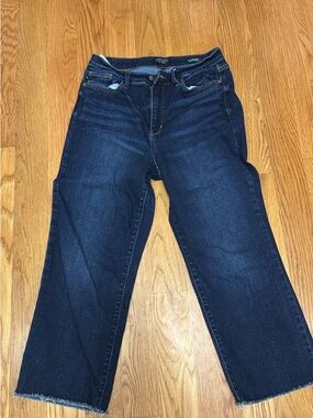 Judy Blue Tummy Control Wide Leg Crop